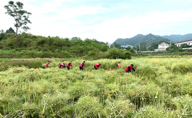 20230530140765.jpg 图片1.jpg