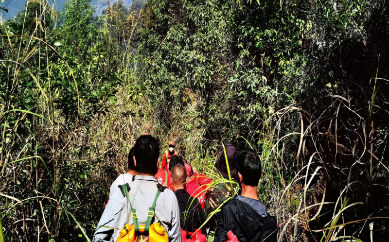 20240311458847.png 图片 2.png