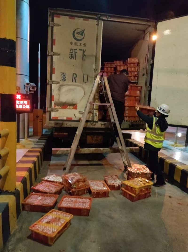 20240326182282.jpg 2.jpg