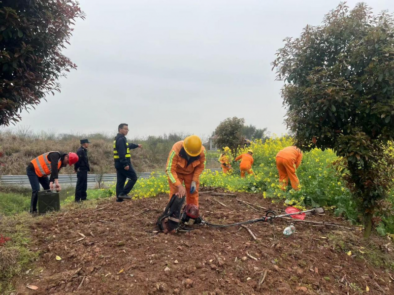 20240402525030.png 图片2 (3).png