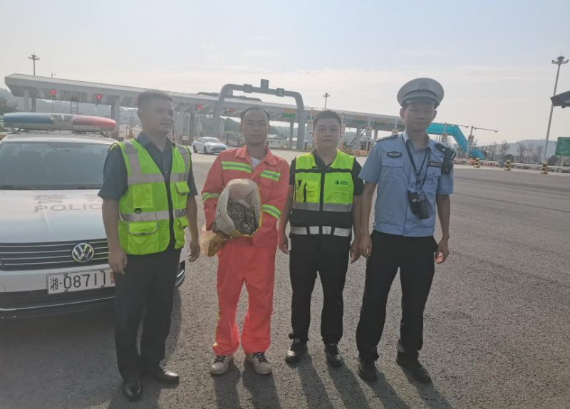 20240930694963.png 图片1 (3).png