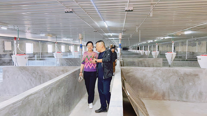 20250211417494.jpg 2.jpg