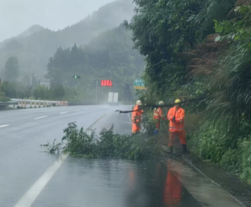 图片4：三江管理所迅速清理倒伏树木.jpg