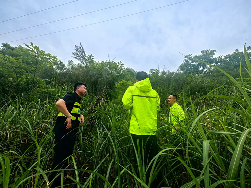 暴雨中的“护路先锋”